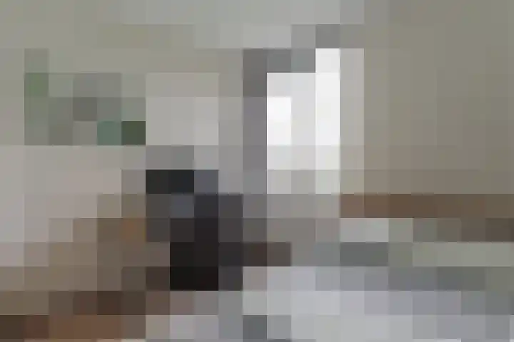 Koolmees 28 Hoorn thumbnail 31