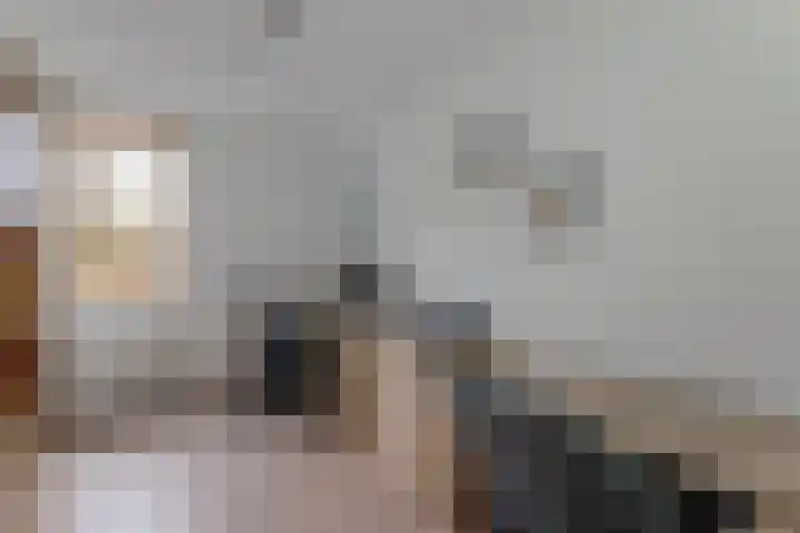 Koolmees 28 Hoorn thumbnail 32