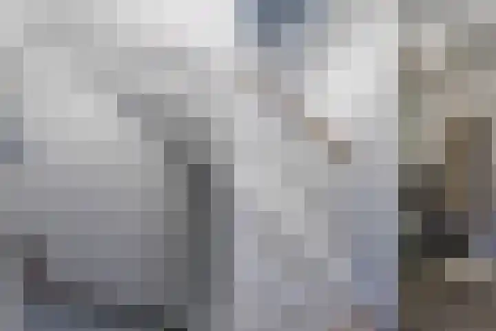 Koolmees 28 Hoorn thumbnail 34
