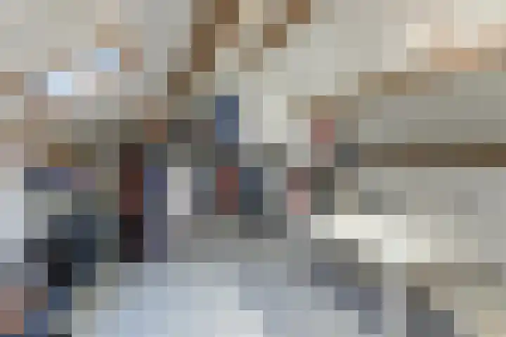 Koolmees 28 Hoorn thumbnail 35