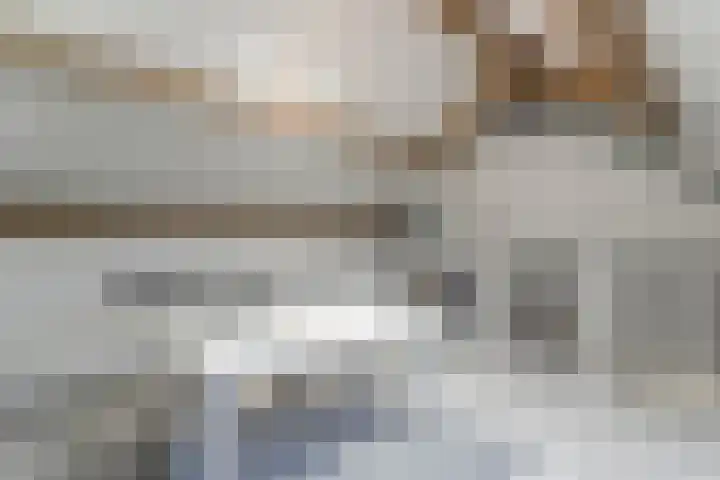 Koolmees 28 Hoorn thumbnail 36
