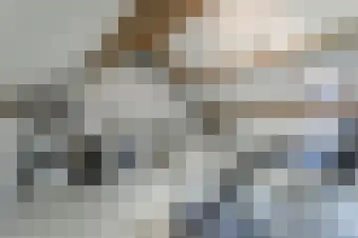 Koolmees 28 Hoorn thumbnail 37