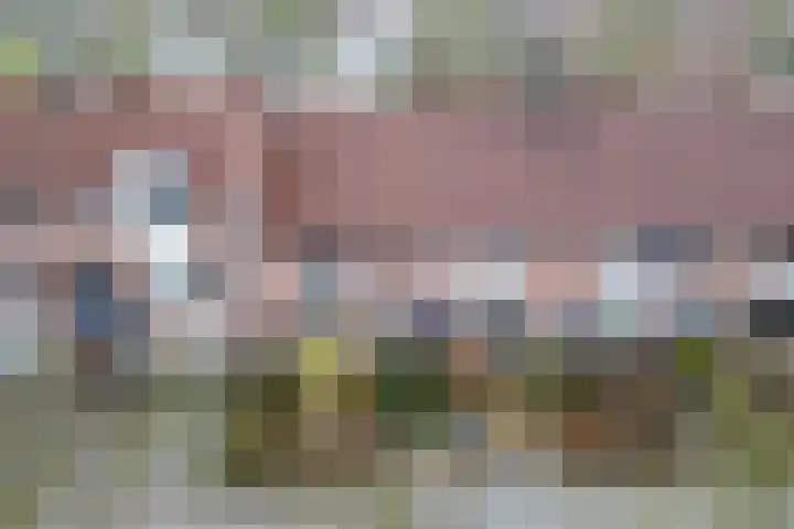 Koolmees 28 Hoorn thumbnail 38