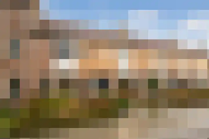 Koolmees 28 Hoorn thumbnail 39
