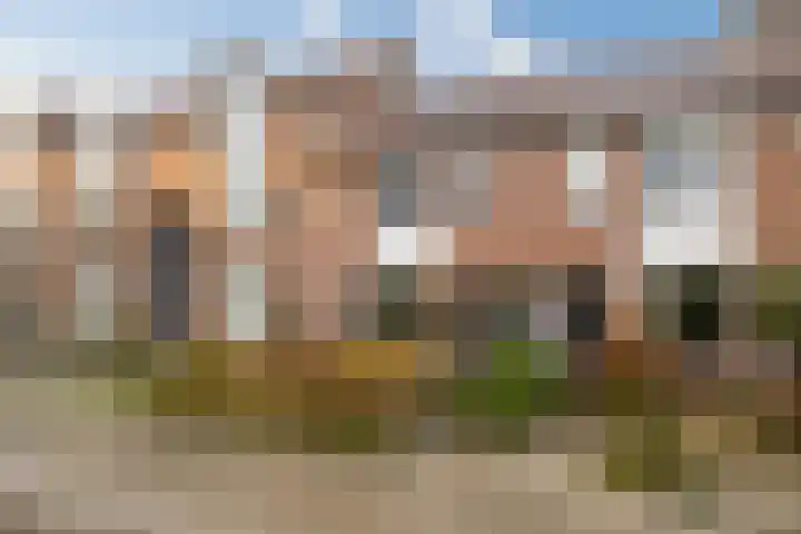 Koolmees 28 Hoorn thumbnail 40