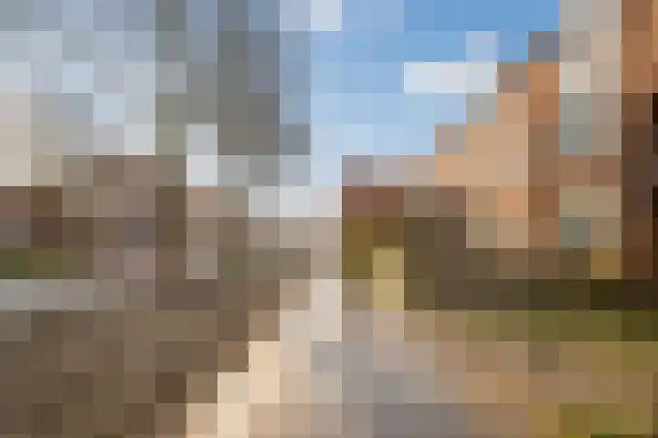 Koolmees 28 Hoorn thumbnail 42