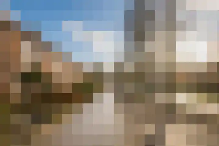 Koolmees 28 Hoorn thumbnail 43