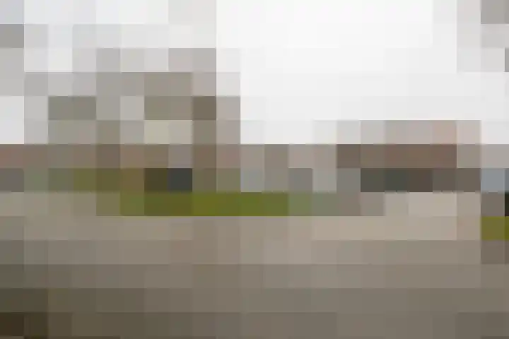 Koolmees 28 Hoorn thumbnail 44