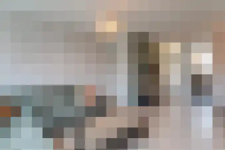 Koolmees 28 Hoorn thumbnail 5