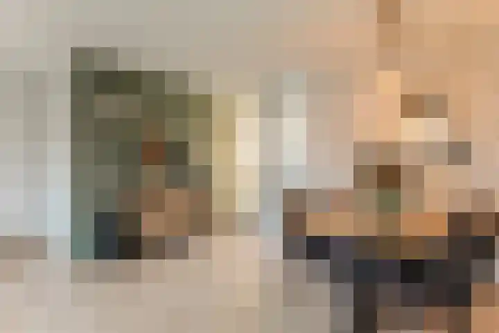Koolmees 28 Hoorn thumbnail 7
