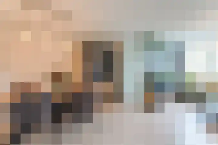 Koolmees 28 Hoorn thumbnail 8