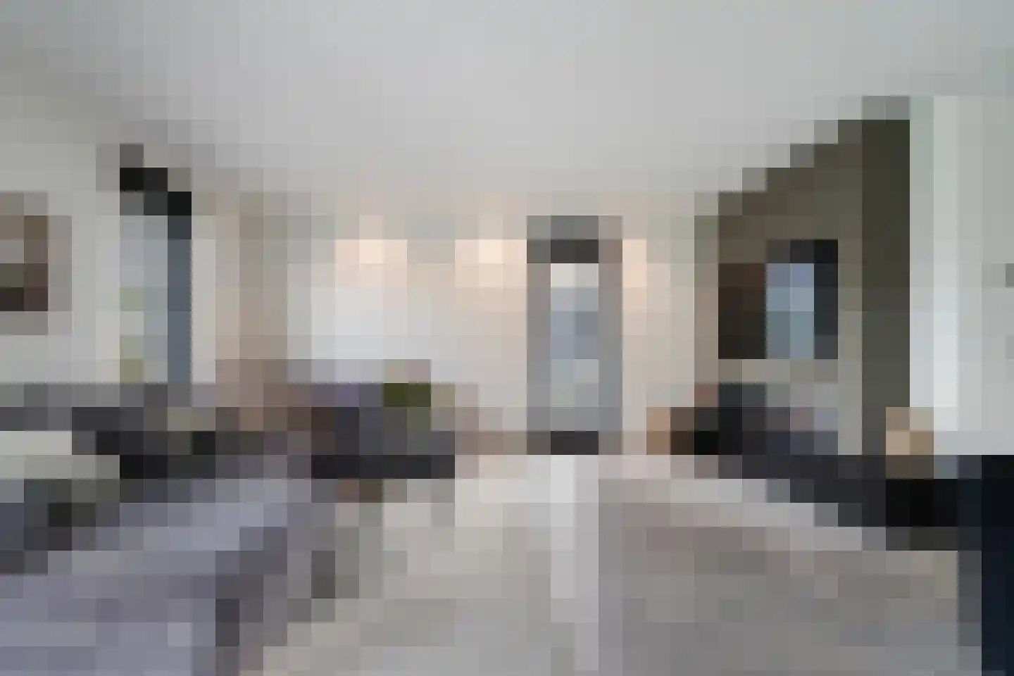 Koolmees 3 Kaatsheuvel thumbnail 10