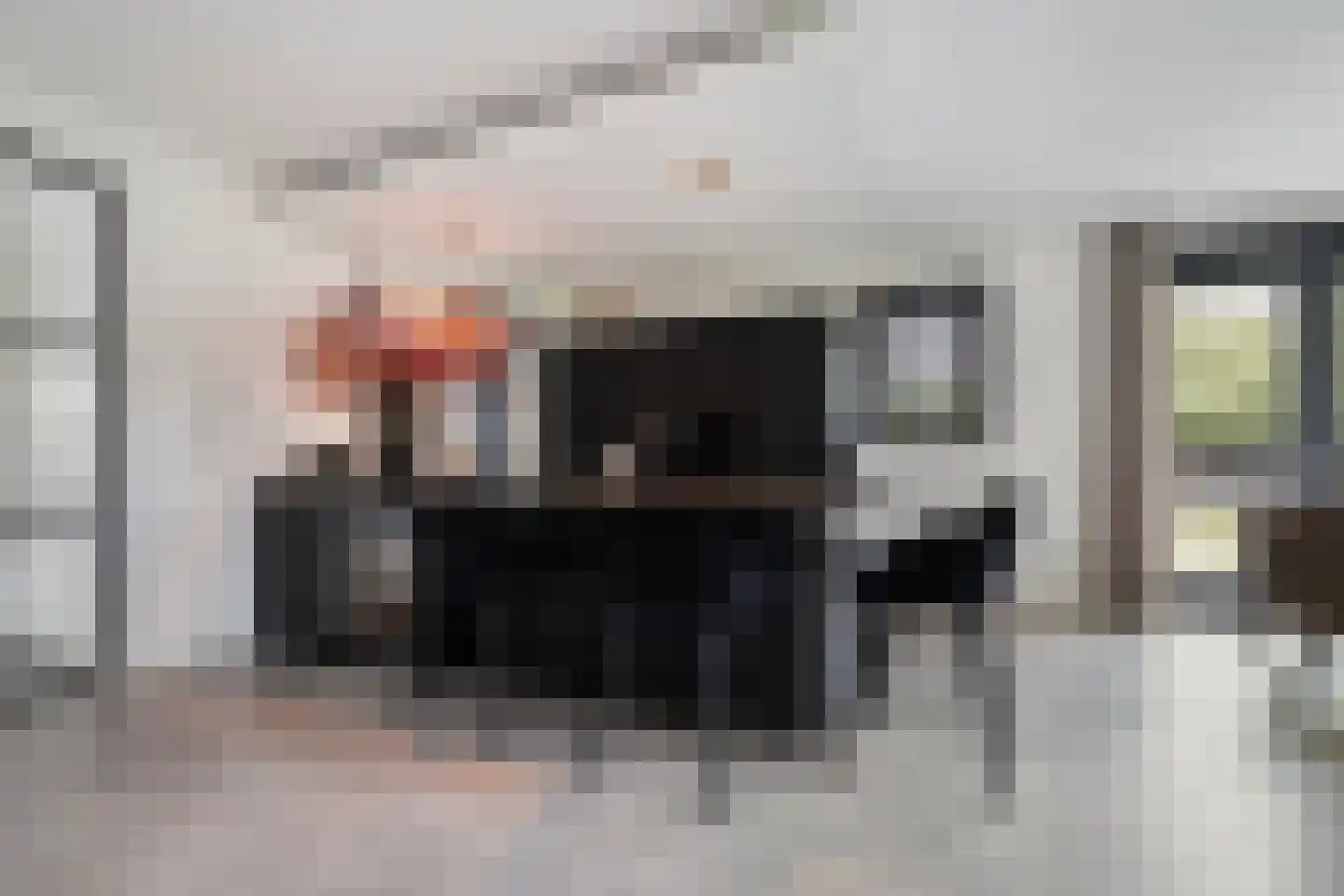 Koolmees 3 Kaatsheuvel thumbnail 11