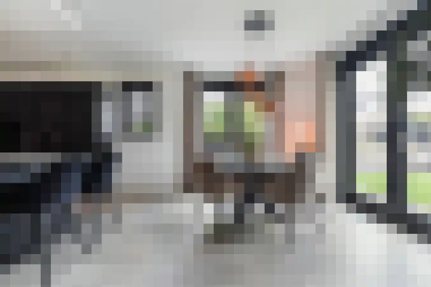 Koolmees 3 Kaatsheuvel thumbnail 12