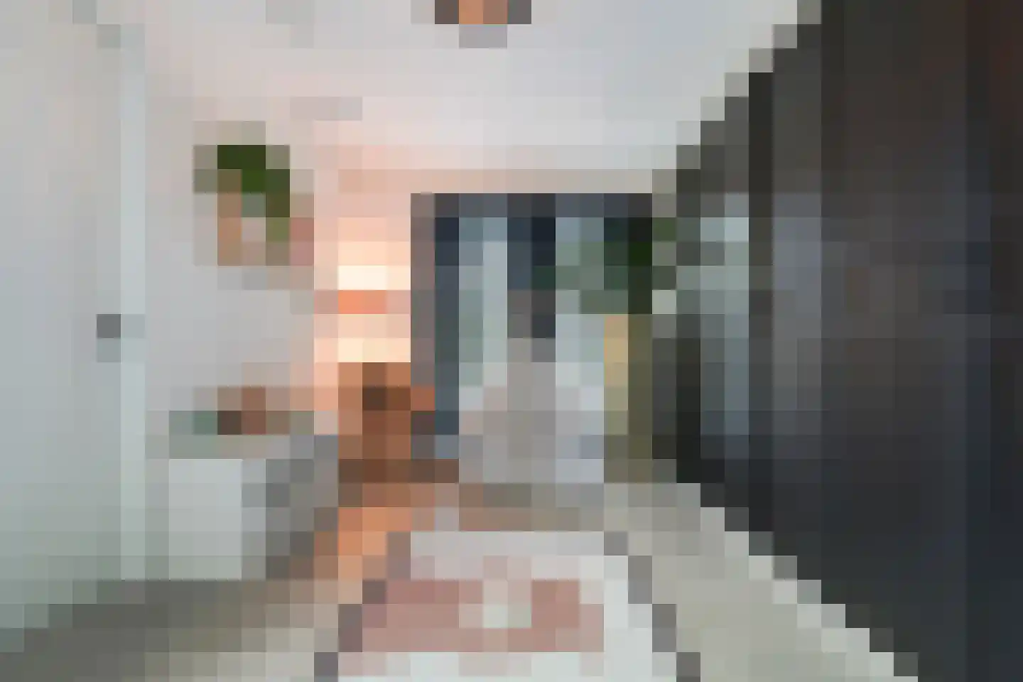 Koolmees 3 Kaatsheuvel thumbnail 18