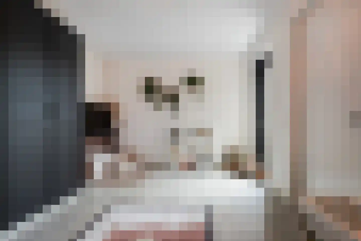 Koolmees 3 Kaatsheuvel thumbnail 19