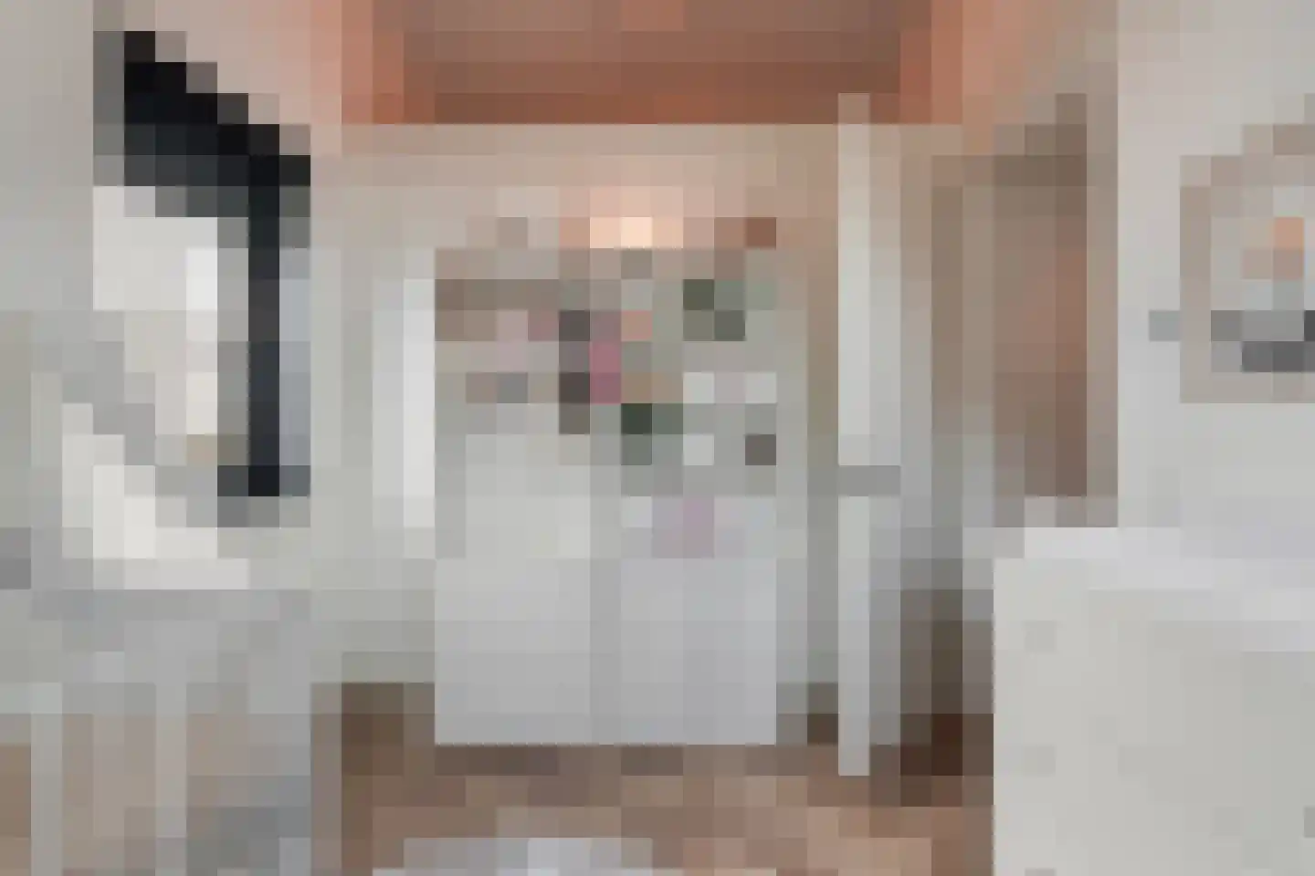Koolmees 3 Kaatsheuvel thumbnail 25