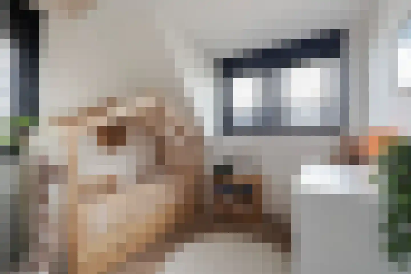 Koolmees 3 Kaatsheuvel thumbnail 29