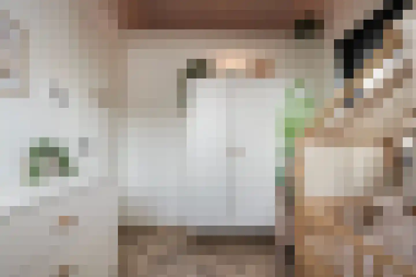 Koolmees 3 Kaatsheuvel thumbnail 30