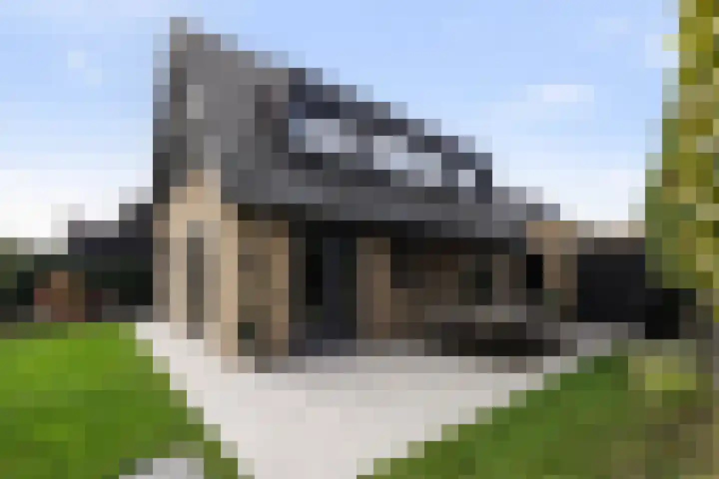 Koolmees 3 Kaatsheuvel thumbnail 4