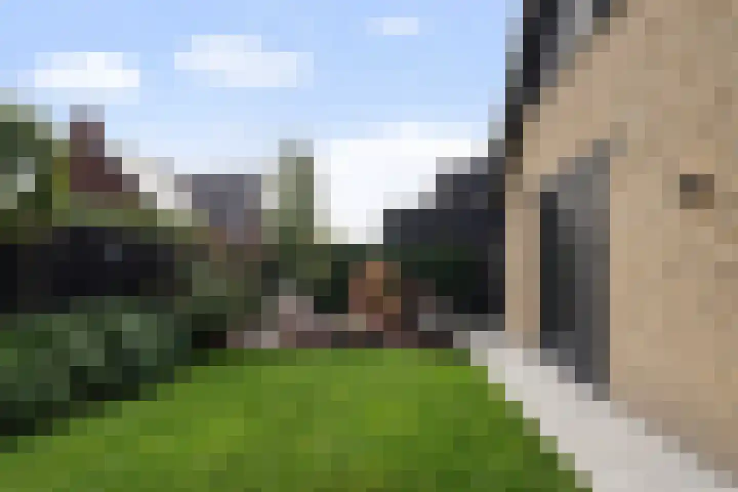 Koolmees 3 Kaatsheuvel thumbnail 40