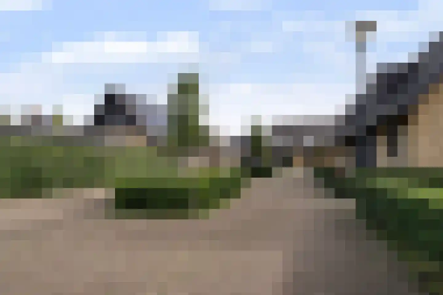 Koolmees 3 Kaatsheuvel thumbnail 46