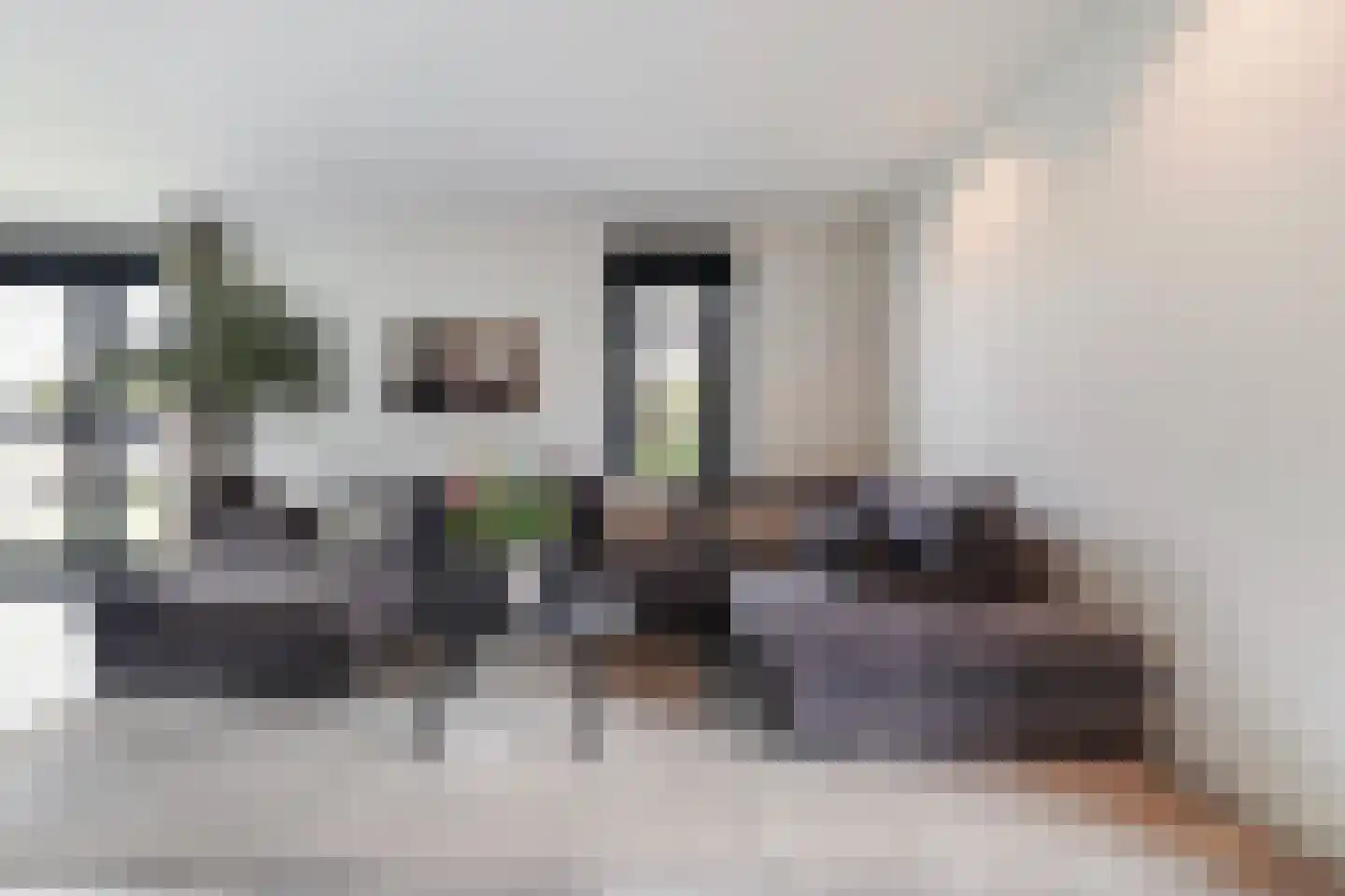 Koolmees 3 Kaatsheuvel thumbnail 5