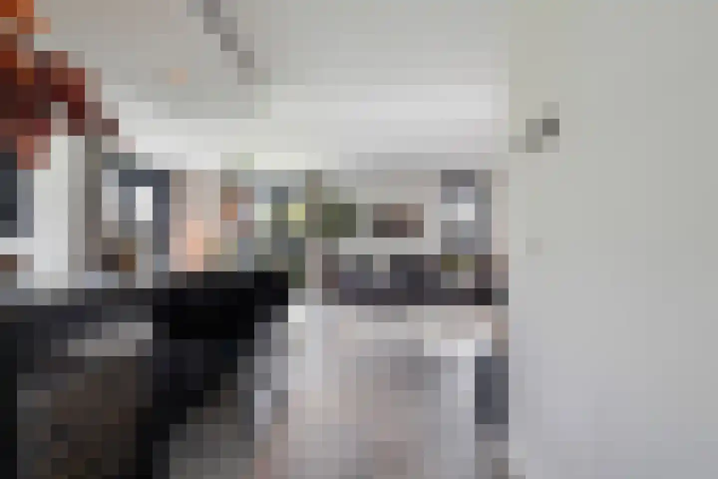 Koolmees 3 Kaatsheuvel thumbnail 8