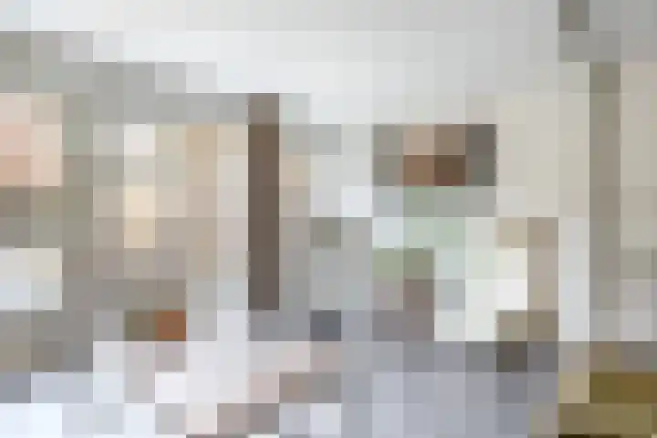 Koolmees 32 Sprang-Capelle thumbnail 10