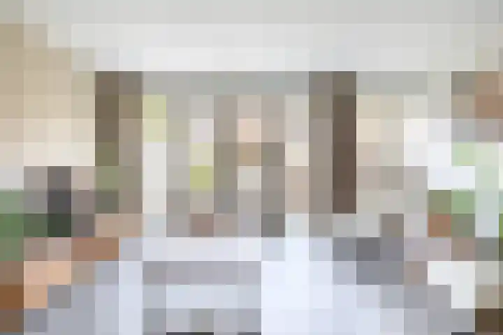 Koolmees 32 Sprang-Capelle thumbnail 13