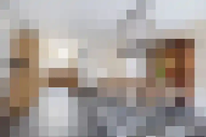 Koolmees 32 Sprang-Capelle thumbnail 14