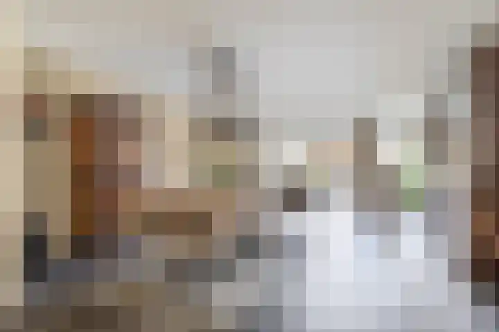 Koolmees 32 Sprang-Capelle thumbnail 15