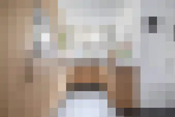 Koolmees 32 Sprang-Capelle thumbnail 16