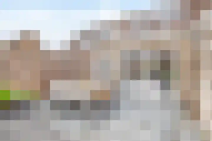 Koolmees 32 Sprang-Capelle thumbnail 20