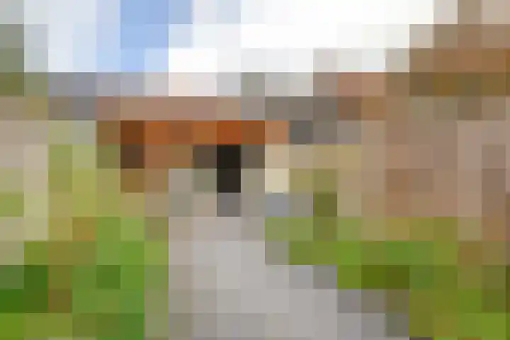 Koolmees 32 Sprang-Capelle thumbnail 21