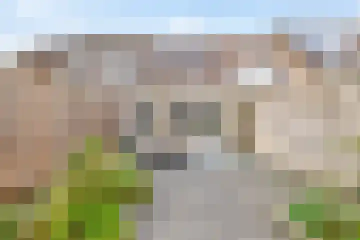 Koolmees 32 Sprang-Capelle thumbnail 22