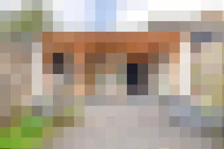 Koolmees 32 Sprang-Capelle thumbnail 23