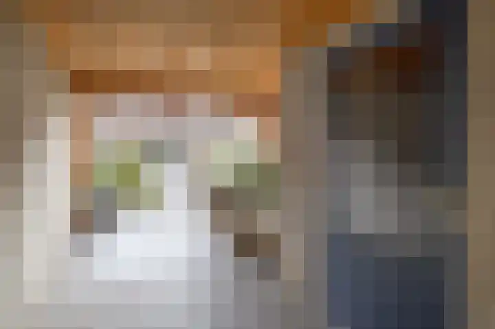Koolmees 32 Sprang-Capelle thumbnail 24