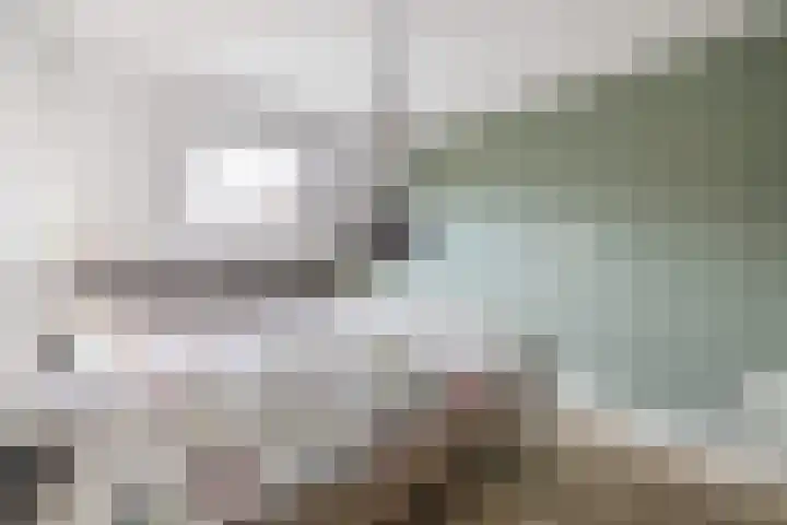 Koolmees 32 Sprang-Capelle thumbnail 25