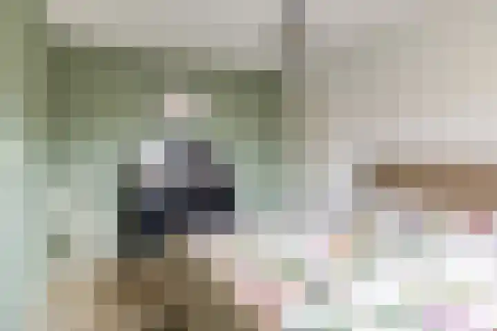 Koolmees 32 Sprang-Capelle thumbnail 26