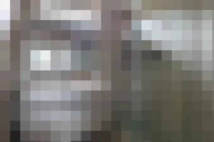 Koolmees 32 Sprang-Capelle thumbnail 27