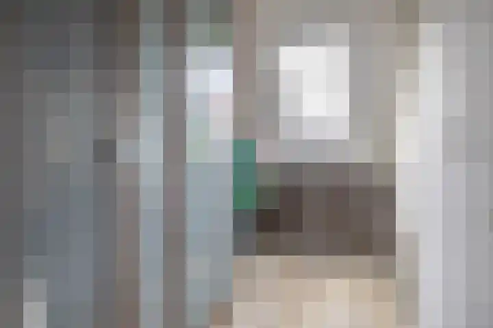 Koolmees 32 Sprang-Capelle thumbnail 29