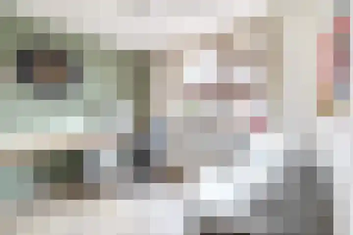 Koolmees 32 Sprang-Capelle thumbnail 30