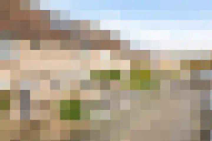 Koolmees 32 Sprang-Capelle thumbnail 4