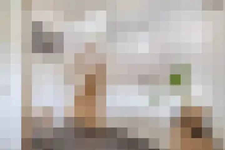 Koolmees 32 Sprang-Capelle thumbnail 7