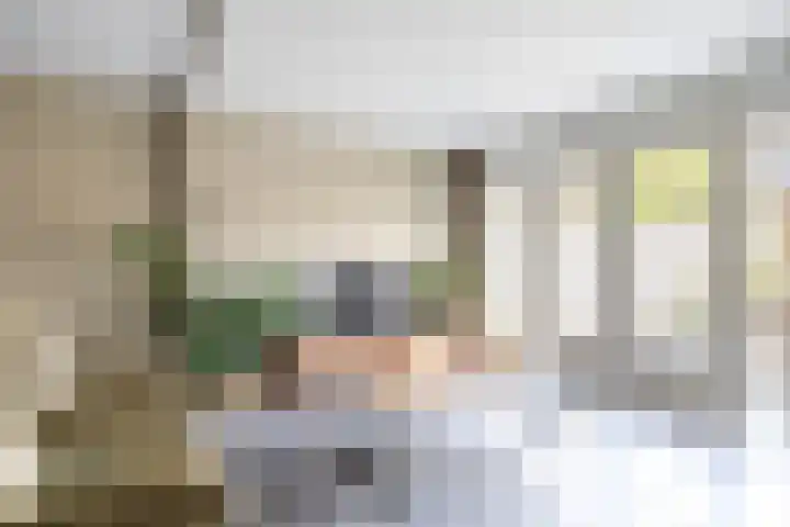 Koolmees 32 Sprang-Capelle thumbnail 9