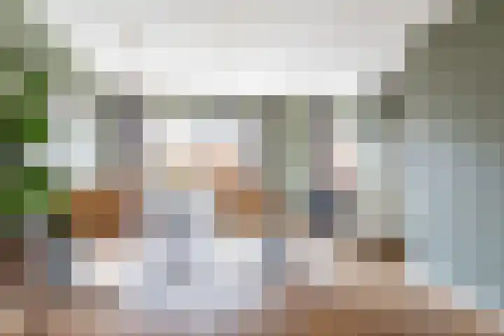 Koolmees 33 Breda thumbnail 11