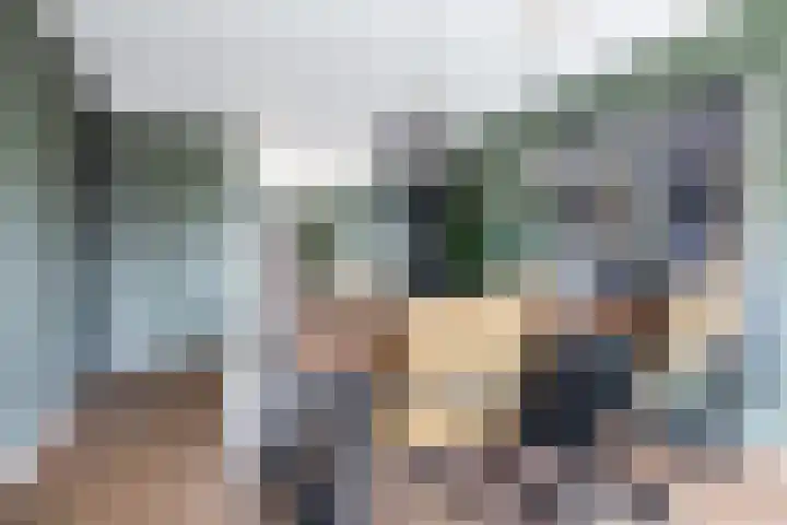 Koolmees 33 Breda thumbnail 12