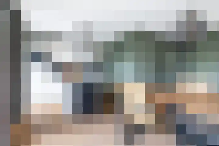 Koolmees 33 Breda thumbnail 13