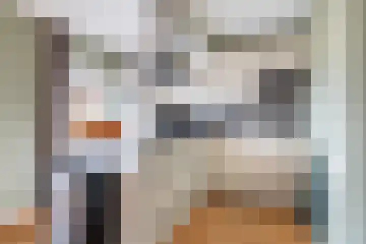 Koolmees 33 Breda thumbnail 14